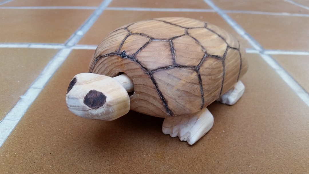tortuga cabeza móvil caparazón pintado ideas locas bricolaje juguete