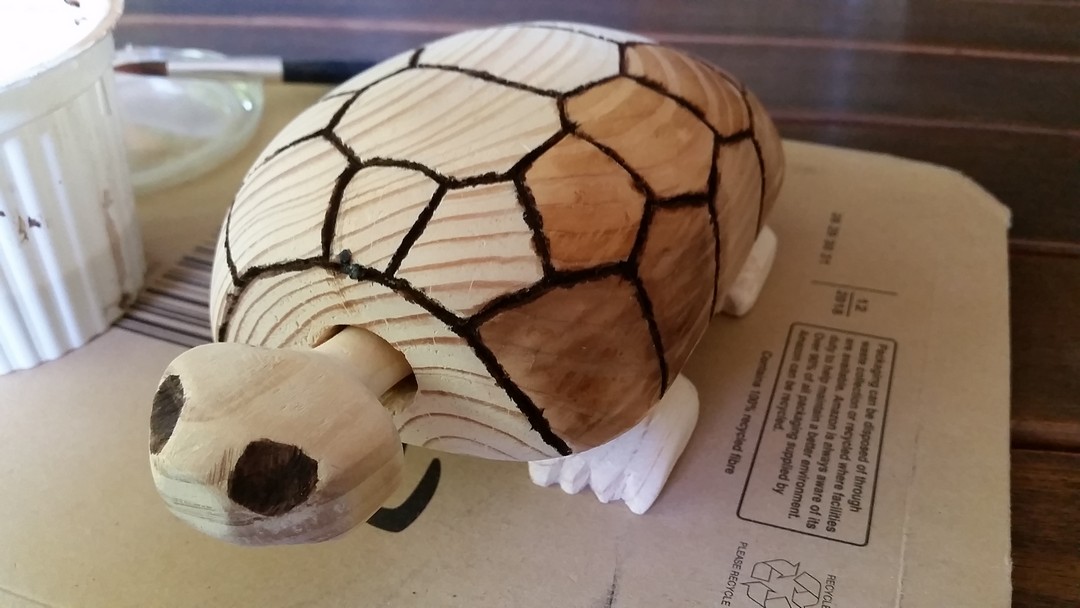 tortuga cabeza móvil marcas caparazón ideas locas bricolaje juguete